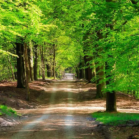 شاليه Serendipity - Nature In Luxury *