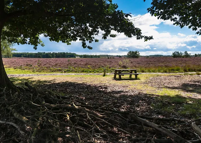 Serendipity - Nature In Luxury