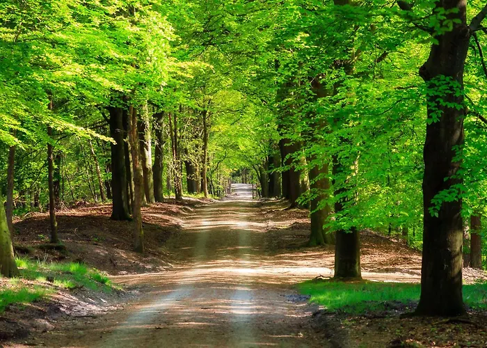 شاليه Serendipity - Nature In Luxury *