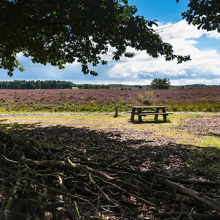 Serendipity - Nature In Luxury